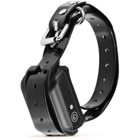Collier de dressage électrique pour chiens, collier de choc électronique rechargeable et étanche IP68 avec modes de correction de choc statique tonal Système de Clôture Électronique sans Fil
