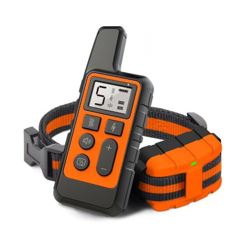 Collier de dressage pour chien, collier électrique étanche et rechargeable, télécommande 500 m