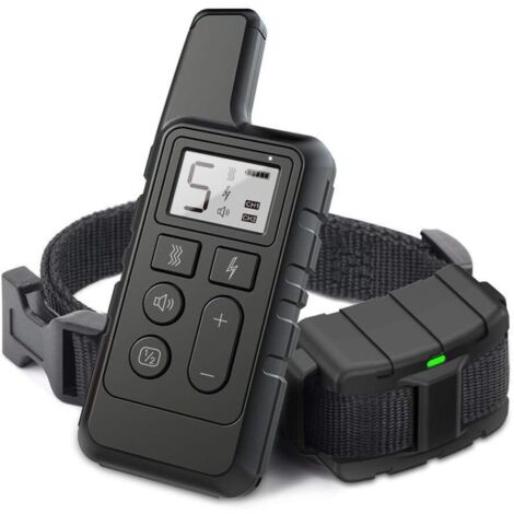 Collier de dressage pour chien, étanche, rechargeable par USB,
