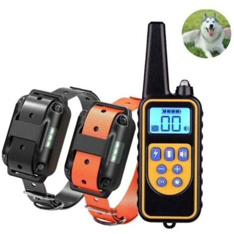 Collier de Dressage pour Deux Chiens Rechargeable et IP67 Étanche avec Distance de 800m avec 99 Niveaux de Mode Vibration, Choc Electrique, Sonore.