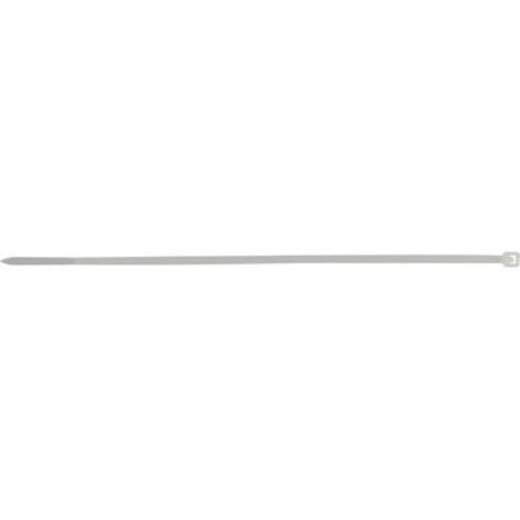 Collier De Fixation Intérieur Incolore 160 X 2,5  20