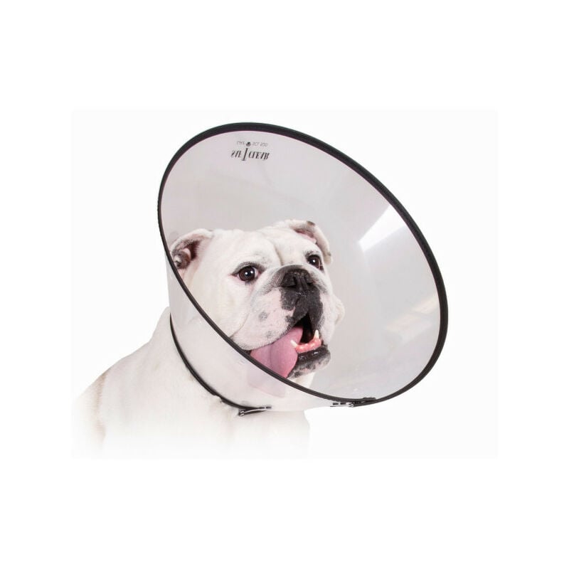 Collier de protection Isabelino pour chiens kvp Saf-T-Clear (38-63 cm)