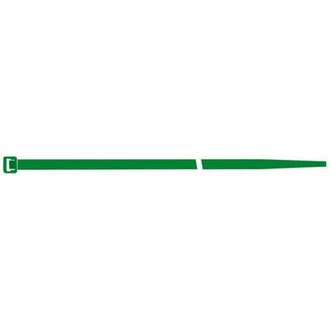 Collier de serrage en nylon vert 100x2.5mm a100pcs SapiSelco