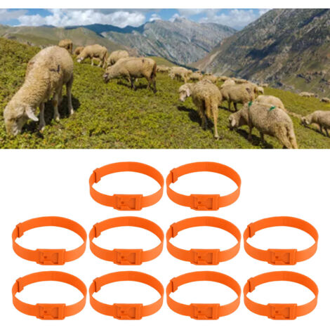 Collier d'identification PU 23 inch (59 cm) pour animaux d'élevage - Lot de 10 colliers ajustables orange pour vaches, chèvres, moutons, chevaux