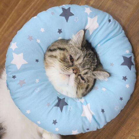 Collier Elizabeth ajustable pour animaux de compagnie après une intervention chirurgicale, protection anti-morsure des plaies