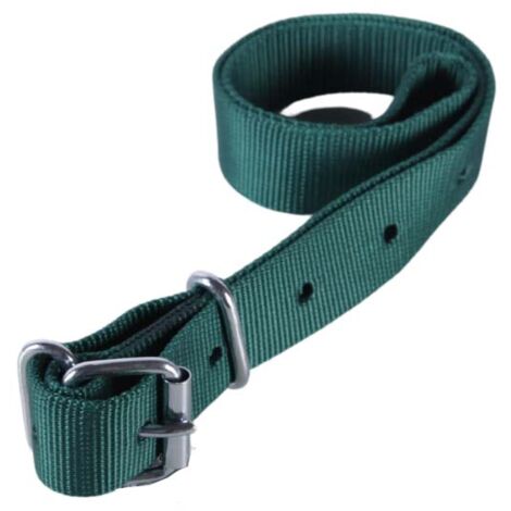 Collier en nylon pour vache pour passant d'identification vert