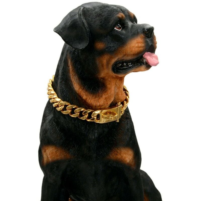 Kinsi - Collier en pour Chien en Or avec Boucle de Conception sécurisée, résistant à la Mastication(Or, 18'')