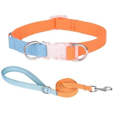 Collier et laisse pour chien réglables, ensemble assorti classique couleur orange et bleu, taille M.