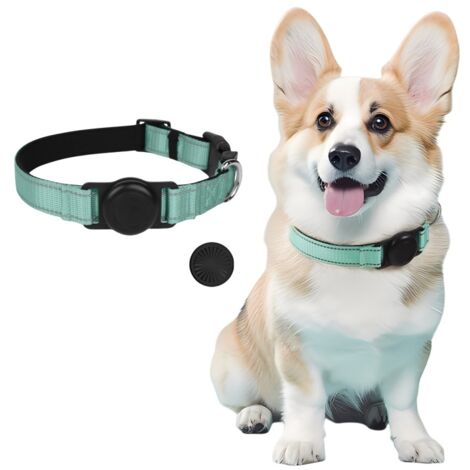 Collier GPS pour chien