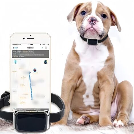 Collier GPS Tracker pour chien