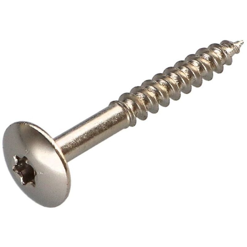 Vis Express - Vis Penture 5X40 Filetage total torx T20 Acier nickelé-500 pièces