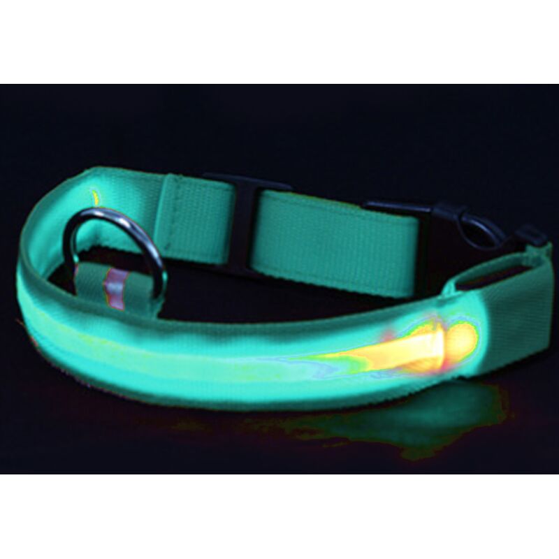Collier LED pour chien rechargeable par USB - Collier lumineux lumineux et haute visibilité pour la marche nocturne des animaux de compagnie