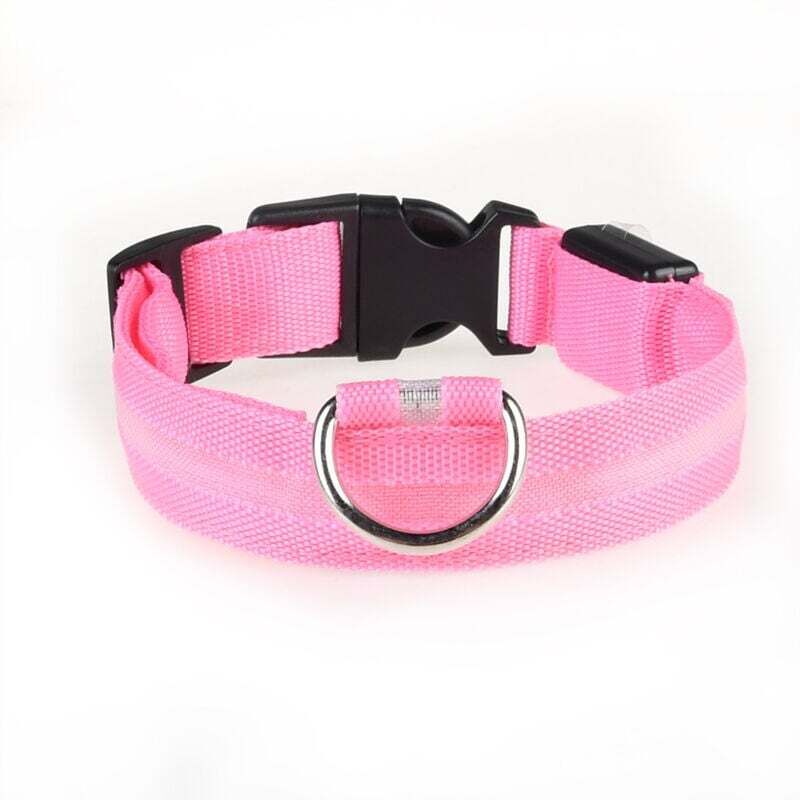 Collier LED rechargeable par USB pour chien de compagnie, clignotant, lumineux, sécurité, lumière en nylon