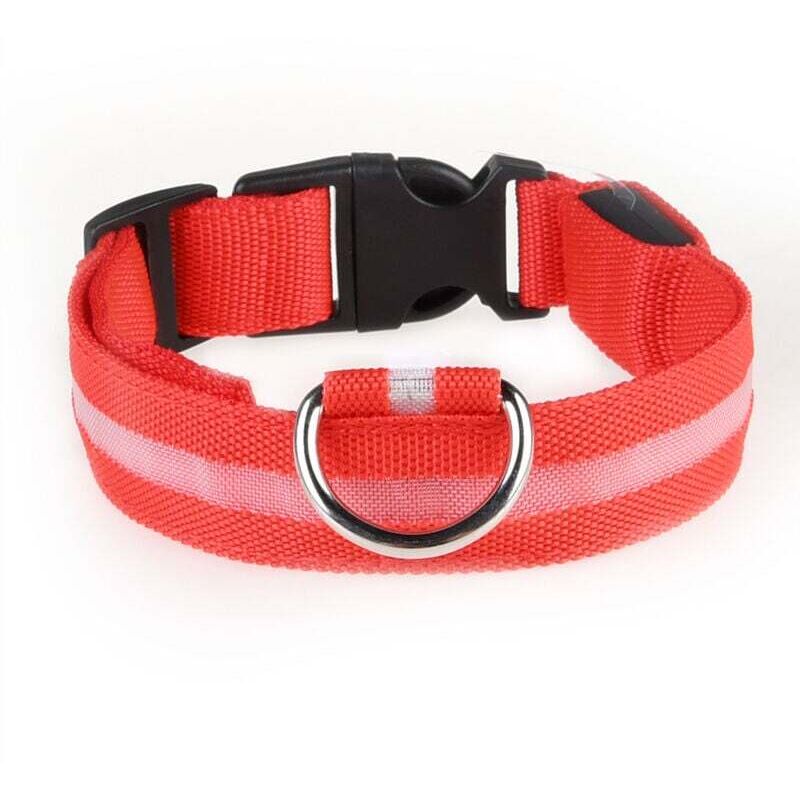 Collier LED rechargeable par USB pour chien de compagnie, clignotant, lumineux, sécurité, lumière en nylon