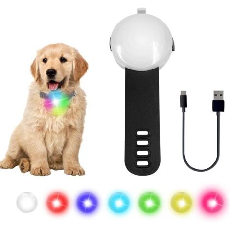Collier Lumineux Chien LED Pendentif Lampe Chien led Rechargeable étanche 4 modes de changement de couleur réglable, Noir