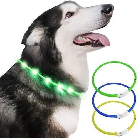 Collier lumineux en silicone pour animaux de compagnie (vert)