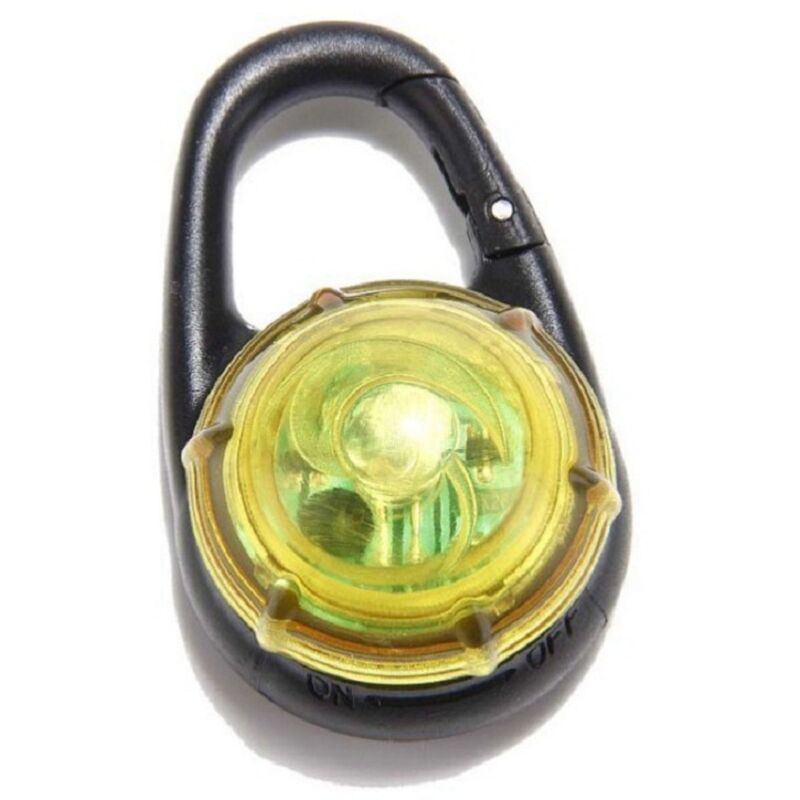 Collier lumineux LED étanche à clip pour chien, idéal pour promenades nocturnes