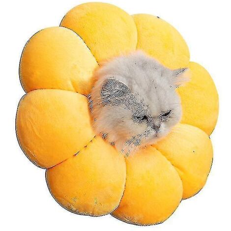 Collier médical anti-morsure et anti-léchage Yyh pour chats et chiens, motif tournesol, taille M, jaune