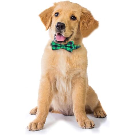 Collier noeud papillon ajustable pour chien doux et confortable (M, vert)