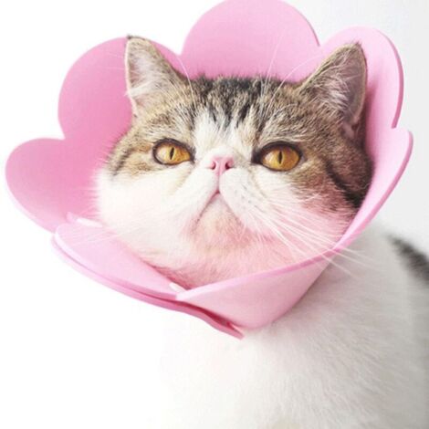 Collier pour animaux de compagnie, collier anti-léchage, collier de protection, collier pour chat de style élisabéthain (rose, M)