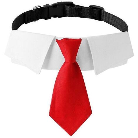 Collier pour chat avec nœud papillon, costume de mariage pour chat et petit chien fille, taille M, rouge.