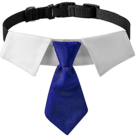 Collier pour chat avec nœud papillon, costume de mariage pour chat et petit chien fille, taille S bleu, accessoire élégant pour animaux de compagnie.
