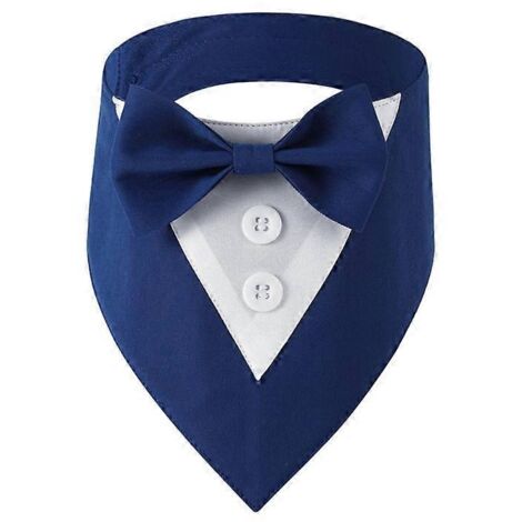 Collier pour chat avec nœud papillon, costume de mariage pour chien et chat de taille S, bleu, idéal pour petites et moyennes chattes.