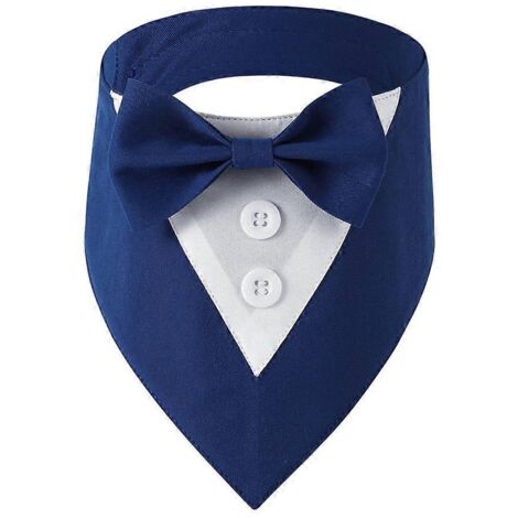 Collier pour chat avec nœud papillon, costume de mariage pour chienne petite et moyenne, bleu taille M.
