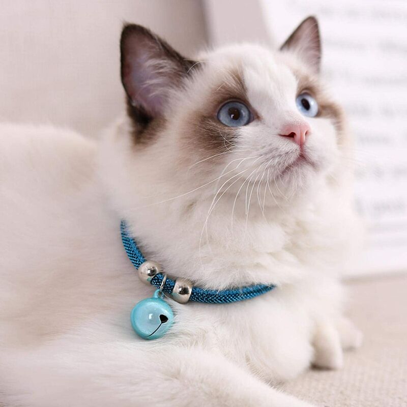 Collier pour chat japonais collier pour animal de compagnie réglable collier de chaton approvisionnement collier de cloche de chat avec chaîne