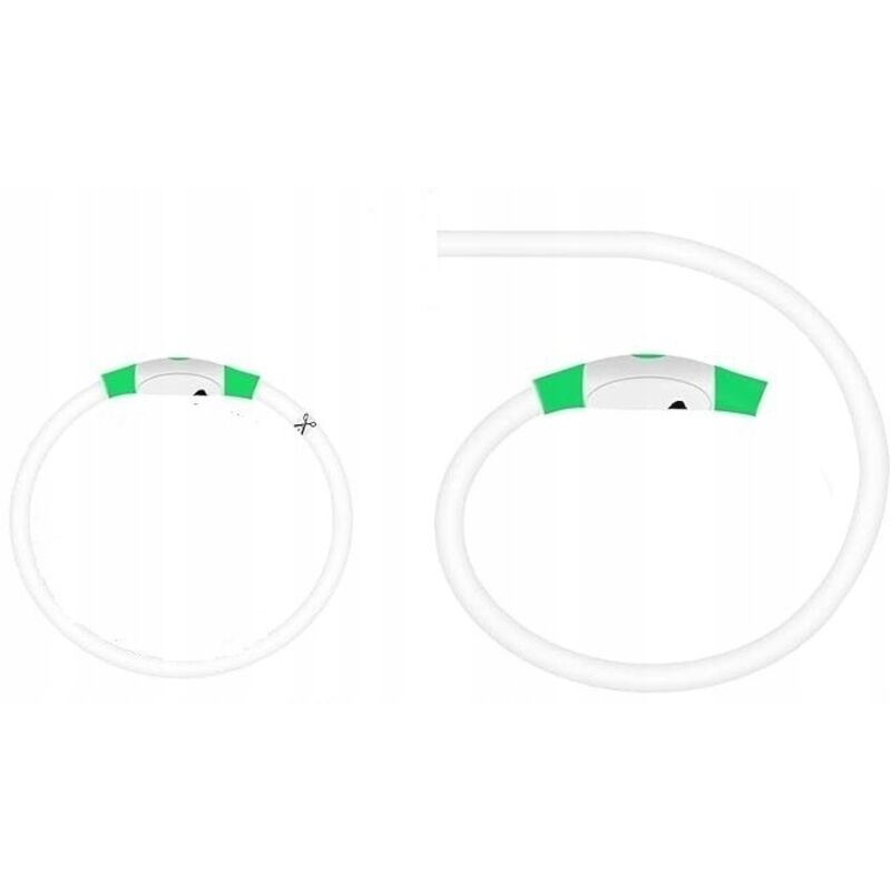 Collier pour chien à LED lumineuse, étanche, réglable jusqu'à 70 cm, vert