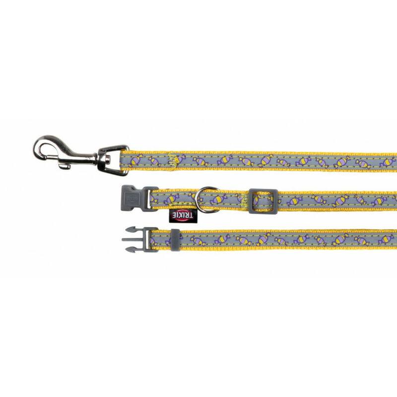 

Collier pour chien avec laisse, très réfléchissant