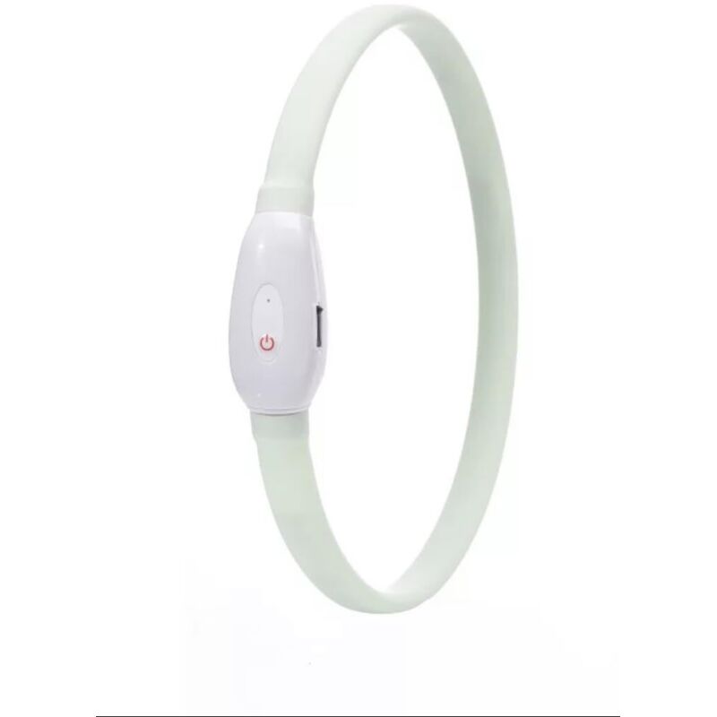Rapanda - Collier pour chien Collier lumineux à led pour animaux de compagnie Rechargeable - 70CM (peut être coupé)