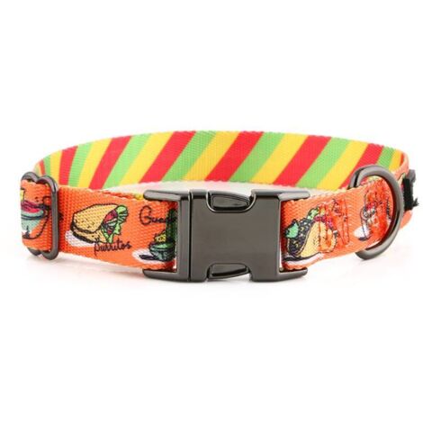 Collier pour chien coloré avec nom et numéro d'un chiot yorkshire HUGGY DOGGY XS