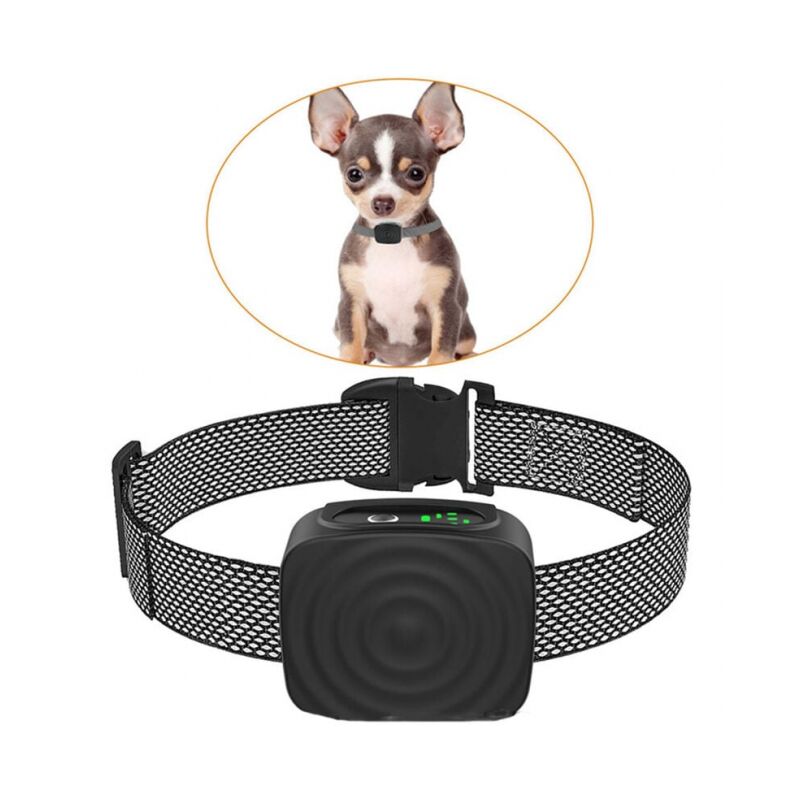 Cyslmuk - Collier pour chien de petite/moyenne taille, 5 à 15 lb, sans choc, rechargeable, anti-aboiement, avec sensibilité et force réglables,