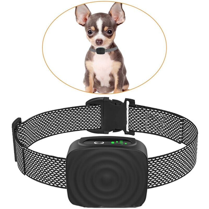 Collier pour chien de petite/moyenne taille, 5 à 15 lb, sans choc, rechargeable, anti-aboiement, avec sensibilité et force réglables, collier