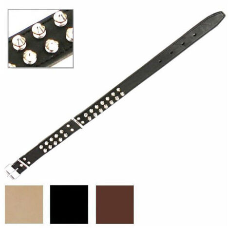 Collier pour chien en cuir avec double rivets, 30 mm, 60 cm