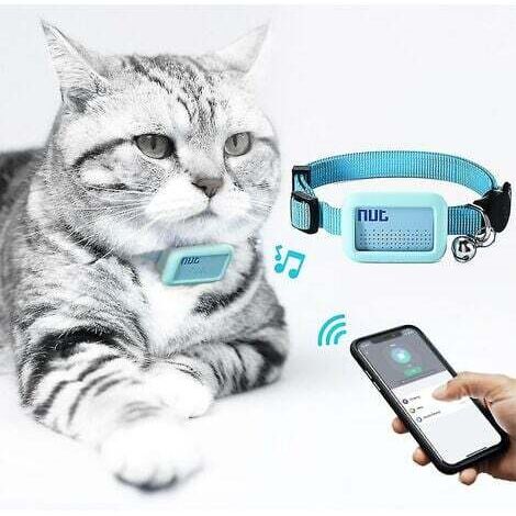 Collier pour chien étanche GPS Tracker Bluetooth Locator Chien et chat Collier anti-perte, Pet Locator Chat et chiot Bluetooth Dispositif anti-perte Collier anti-perte