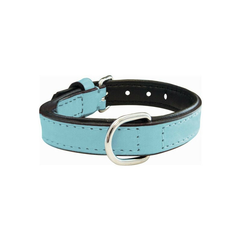 Gloria - Collier pour Chien Rembourré Bleu (50 x 2,5 cm)