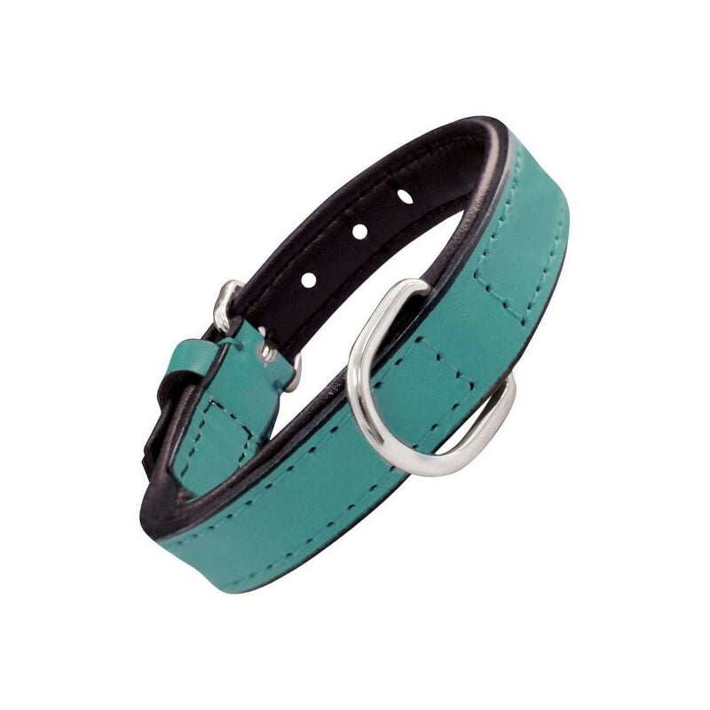 Collier pour Chien Gloria Rembourré Turquoise 45 cm (45 x 2 cm)