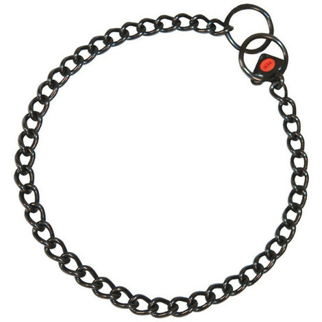 Collier pour Chien Hs Sprenger Noir 2,5 mm Maillons Court (45cm)