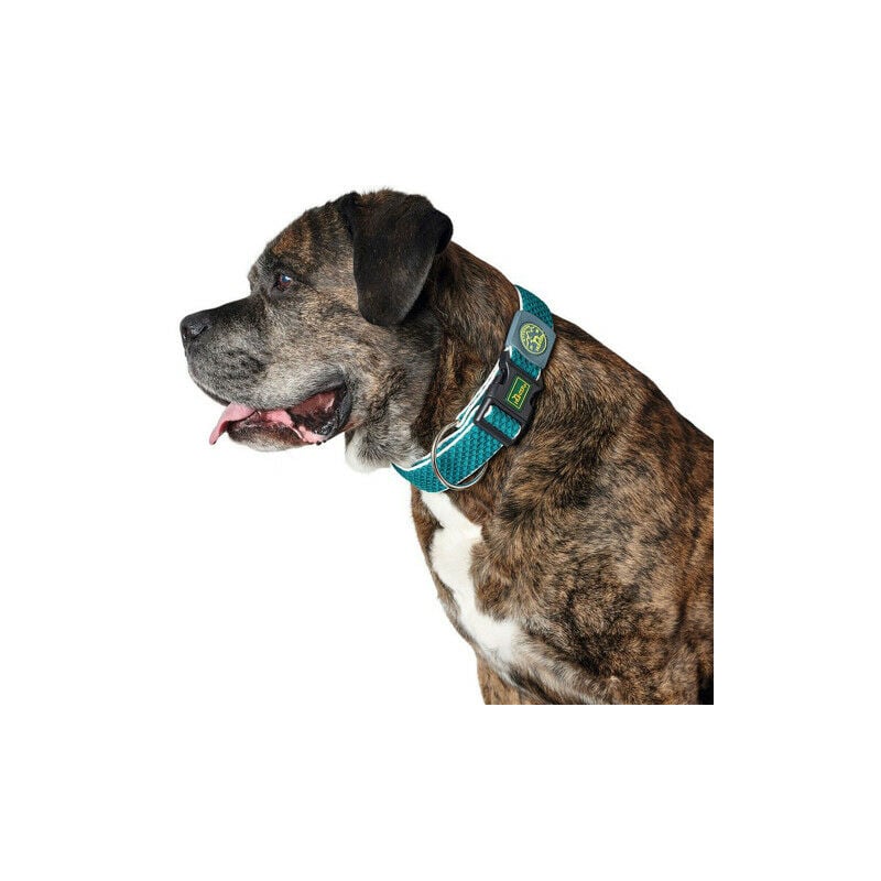 Collier pour Chien Hunter Plus Fil turquoise Turquoise Taille xl (45-70 cm)