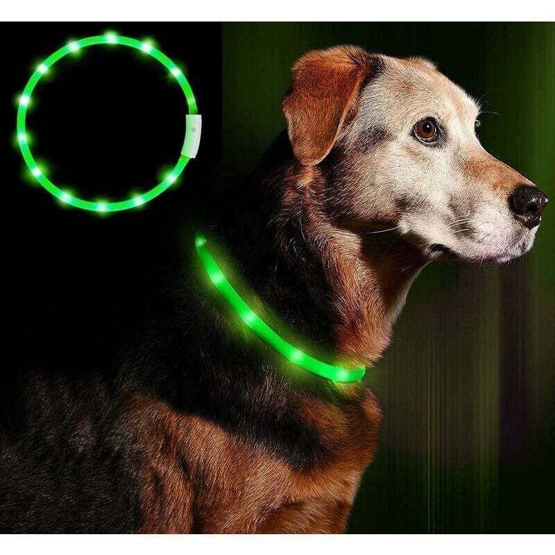 Collier pour chien led lumineux, rechargeable, clignotant, garantissant la sécurité de votre chien. Taille unique, ajustable pour toutes les tailles
