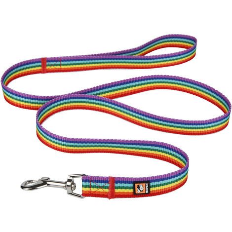 Collier Réfléchissant Pour Chien. Convient Aux Petits, Moyens Et Grands Chiens