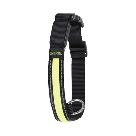 Collier réfléchissant pour chien - X Tour de cou 34-41 cm