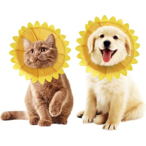 Collier réglable, adapté aux chats et chiots