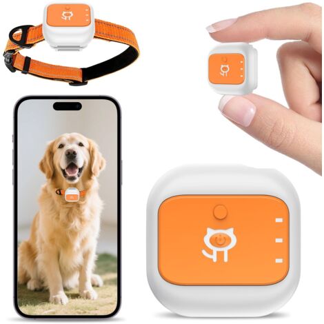 Collier Traceur GPS 4G pour Chien et Chat - 5 Modes de Localisation, Étanche IP66, Autonomie 25 Jours (1000mAh) avec Clôture Électronique et Alarme