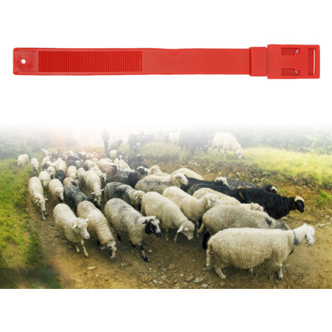 Colliers d'Identification pour Ovins - Lot de 10 Bandes de Marquage PU Rouge 36cm pour Cheptel