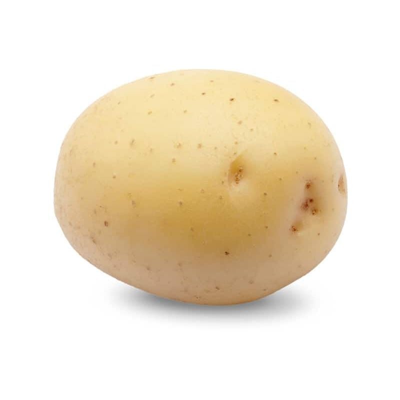 Debaere - Colomba 60 Plants de pommes de terre