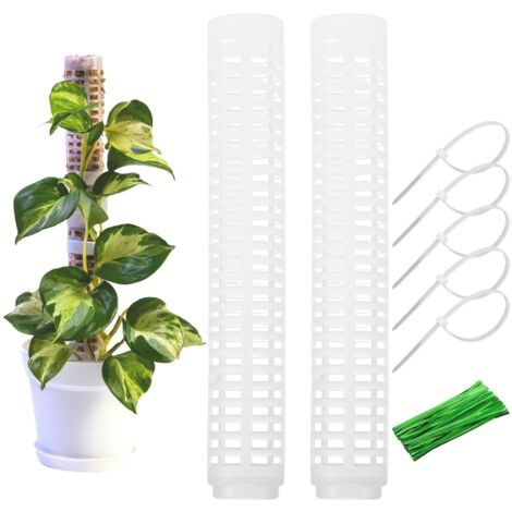 Colonne de Mousse pour Plantes Grimpantes - Lot de 2 Supports de Croissance pour Monstera et Lianes d'Intérieur, Tuteur Jardinage
