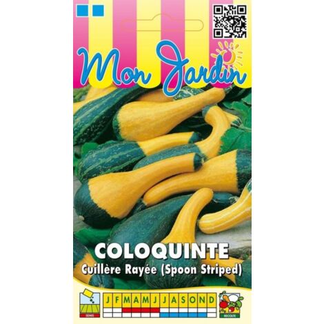 Coloquinte cuillère rayée - 3g